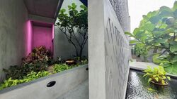 Capitol Park (D11), Detached #584424261